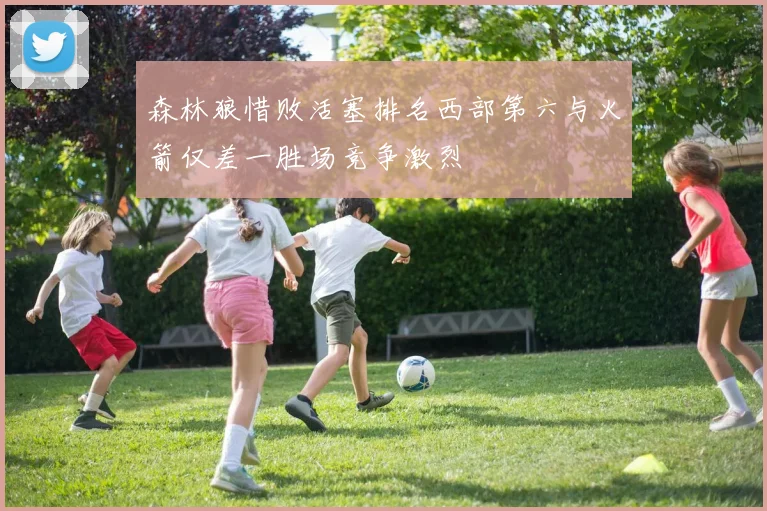 森林狼惜败活塞排名西部第六与火箭仅差一胜场竞争激烈